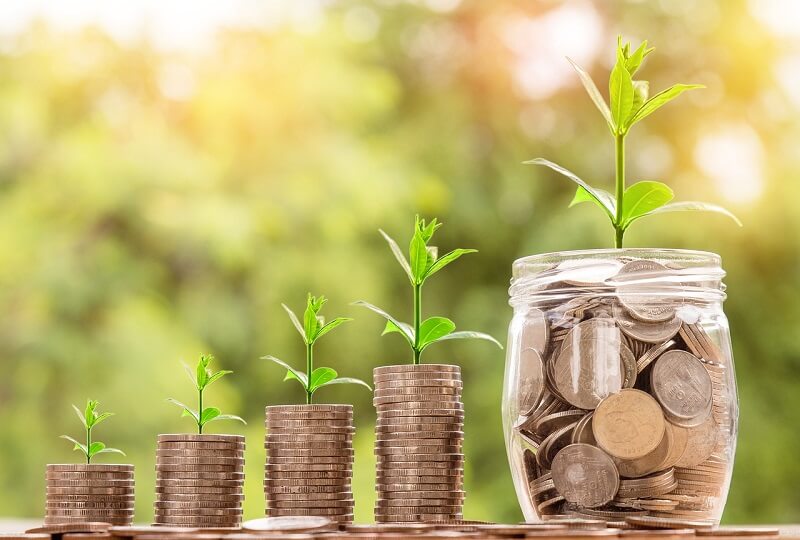 finding the right investors blossoms your savings